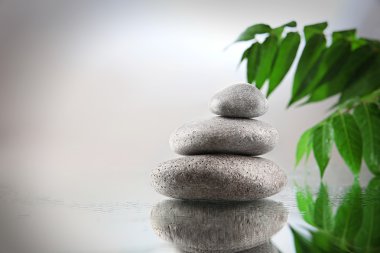 Spa taşlar ve yeşil şube