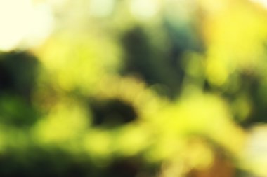 sonbahar arka plan bulanık