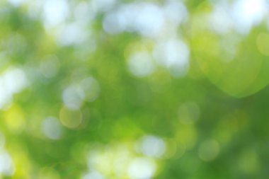 sonbahar arka plan bulanık