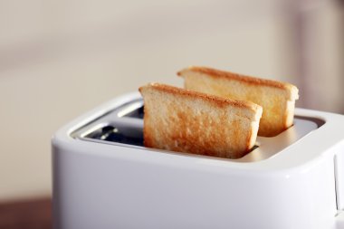 kaşarlı tost tost makinesi