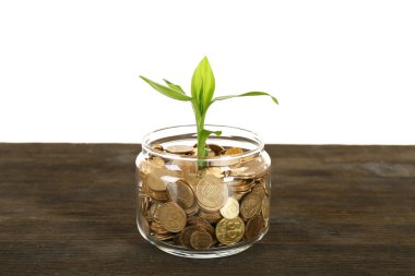 Para ve büyüyen Fideler