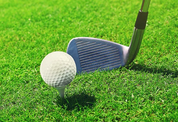 Golf club e palla — Foto Stock