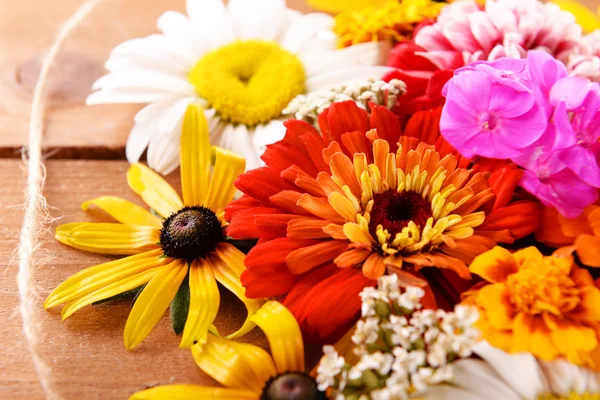 Νωπά και πολύχρωμα λουλούδια — Φωτογραφία Αρχείου
