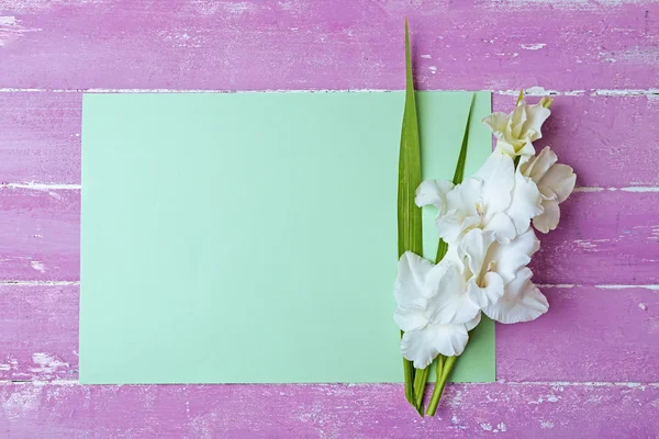Tarjeta en blanco con hermoso gladiolo —  Fotos de Stock