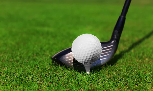 Golf club and ball — Stock Photo, Image