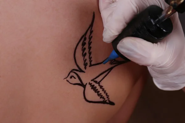 Tattooist drawing swallow — Stock Photo, Image