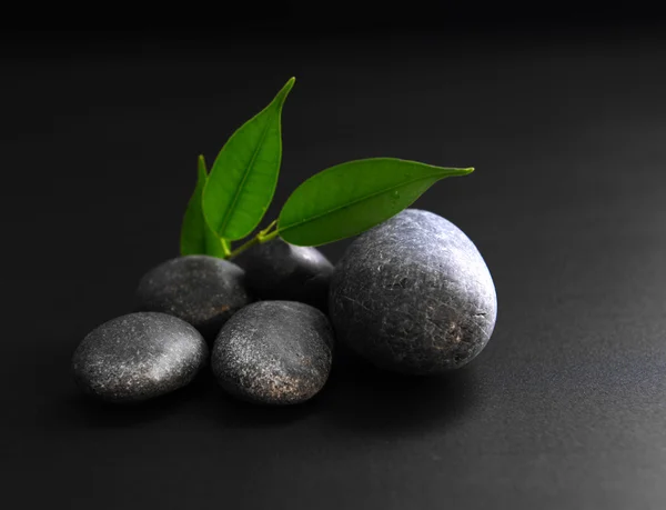 Pebbles with leaves on black — Stock Photo, Image