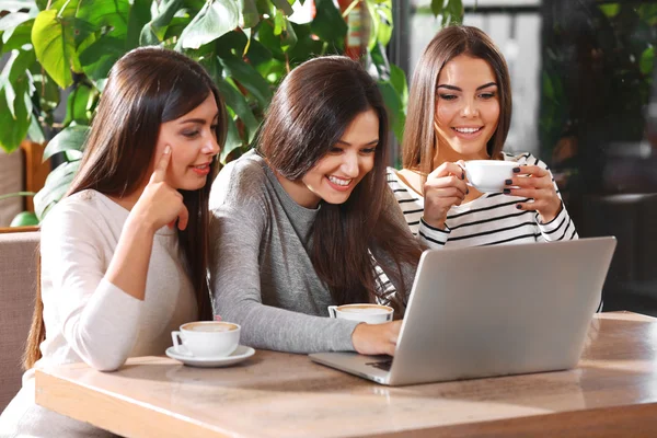 Beste vrienden met laptop — Stockfoto