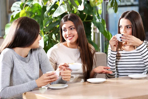 Chicas beben café — Foto de Stock
