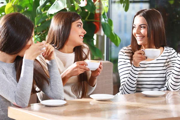 Chicas beben café — Foto de Stock