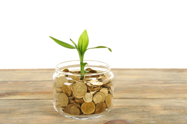 Geld en groeiende sprout — Stockfoto