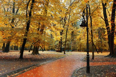Sonbaharda güzel bir park