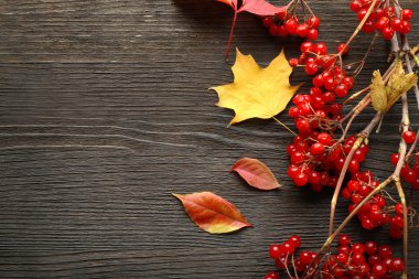 sonbahar yaprakları arka plan