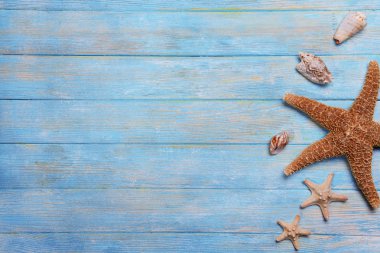 Deniz kabuklarını ahşap arka plan