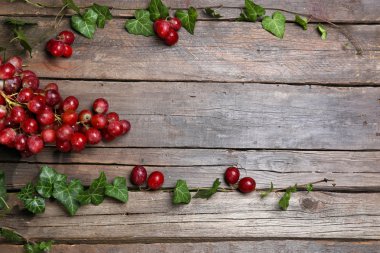 Üzüm ve yeşil yaprakları demet 
