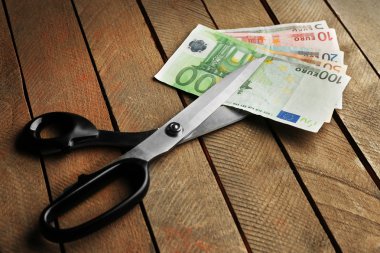 Euro banknot kesme makası