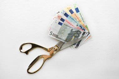 Makas farklı euro banknot keser