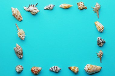 Çerçeve şeklinde kabukları