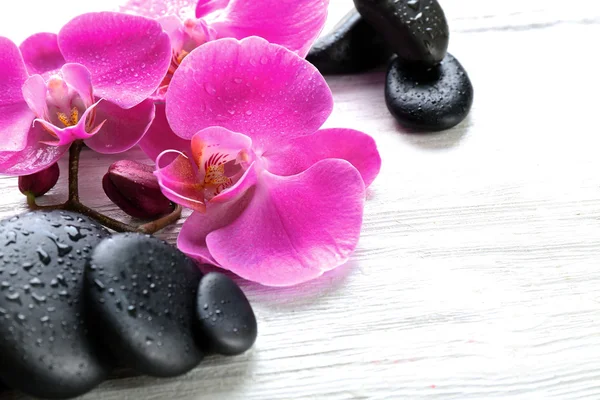 Beautiful composition of orchid and pebbles — Stock Photo, Image