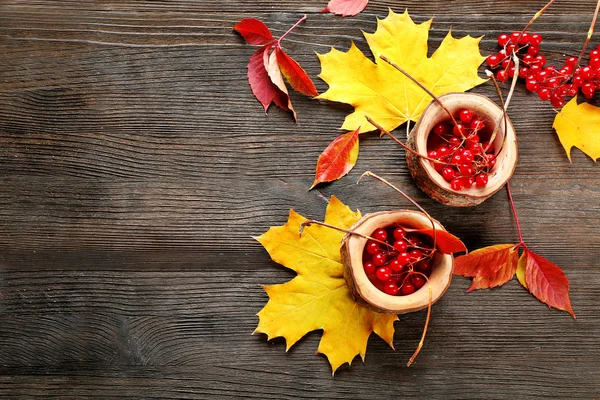 Herfst bladeren achtergrond — Stockfoto