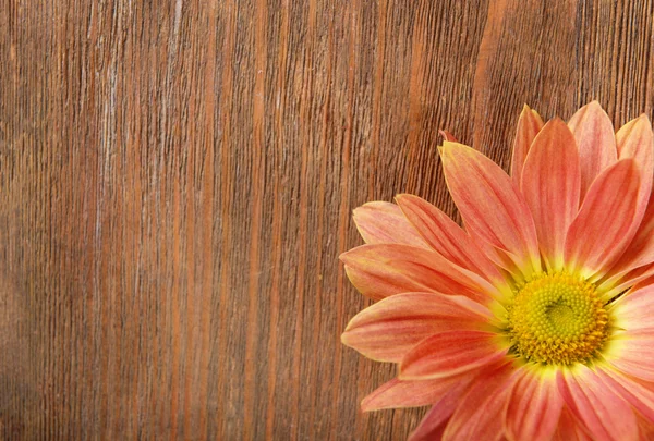 Schöne Blumen auf Holzgrund — Stockfoto