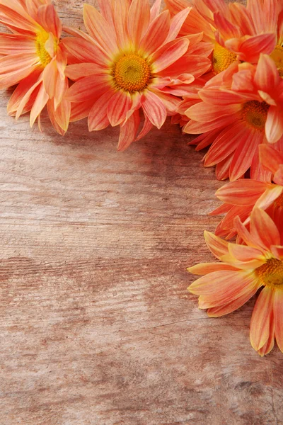 Schöne Blumen auf Holzgrund — Stockfoto