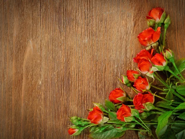 Güzel renkli gül buketi — Stok fotoğraf