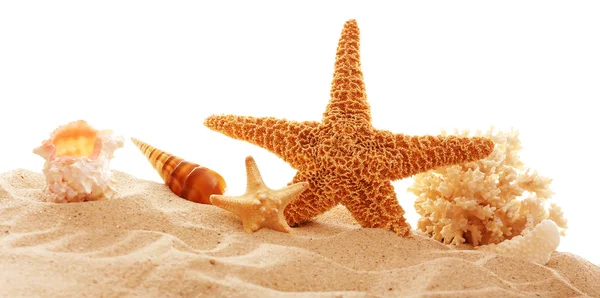 Starfish, coral and shells on sand — Stock Photo, Image