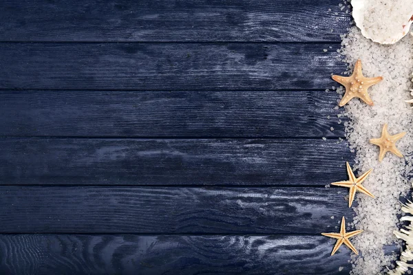 Морские звезды и раковины в ряд — стоковое фото