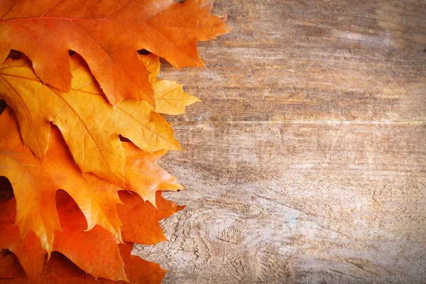 Oak leaves on wooden background — Stock Photo, Image