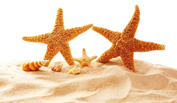 Starfishes och skal på sand — Stockfoto