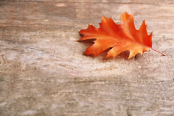 Feuille de chêne sur fond bois — Photo