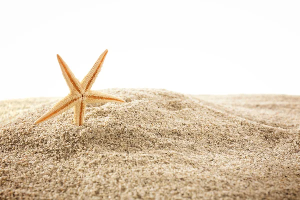 Sea star on sand — Stock Photo, Image