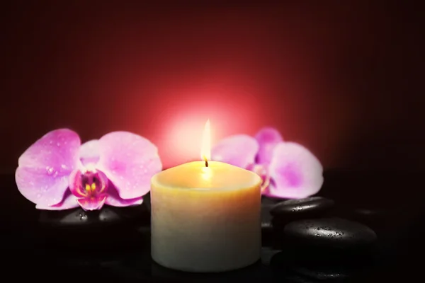 Composition of orchids, pebbles and candle — Stock Photo, Image