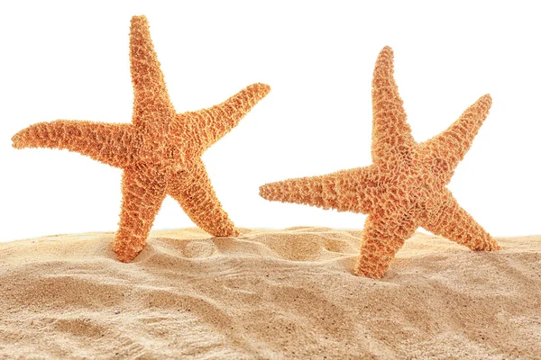 砂の上の海の星 — ストック写真