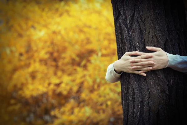 Hands hugging tree