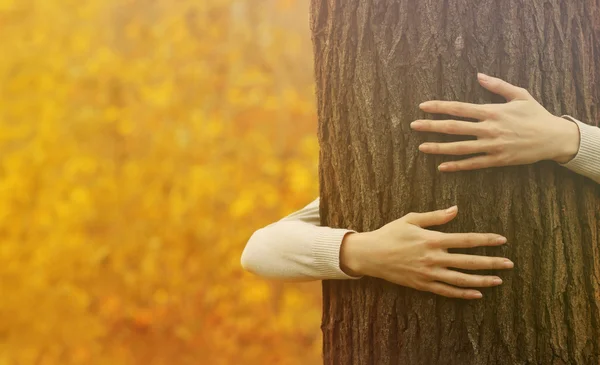 Abbraccia le mani albero — Foto Stock