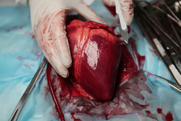 Heart and medical tools on operating table — Stock Photo, Image