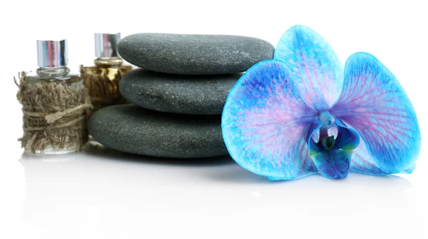 Beautiful blue orchid with pile of pebbles — Stock Photo, Image