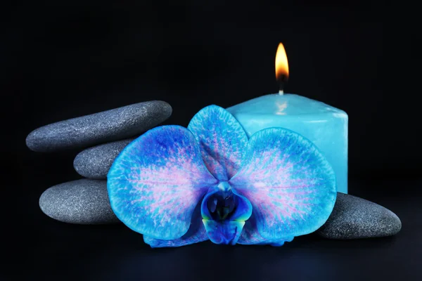 Vacker blå orkidé med hög med stenar och ljus på svart bakgrund — Stockfoto