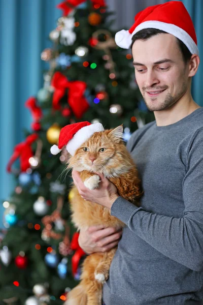 Hombre con gato cerca del árbol de Navidad —  Fotos de Stock