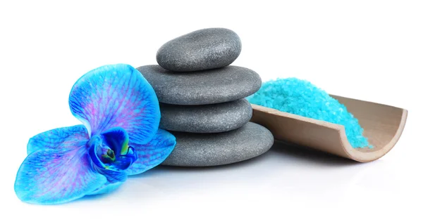 Beautiful blue orchid with pile of pebbles — Stock Photo, Image