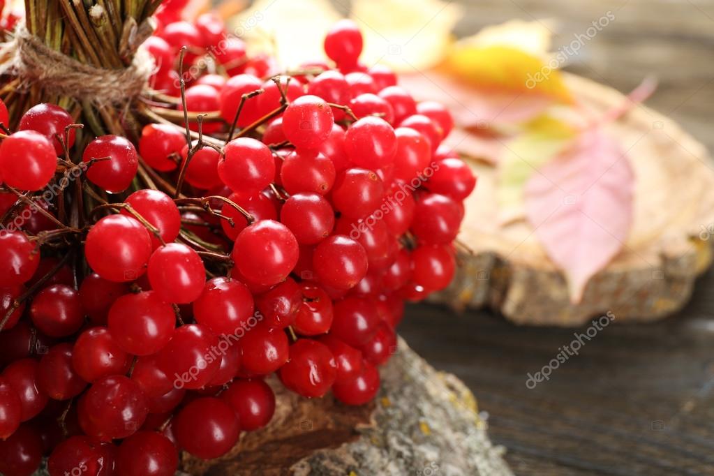 Зеленый, букет калины означает