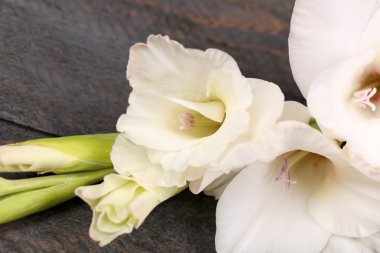 Ahşap arka plan üzerinde güzel Glayöl