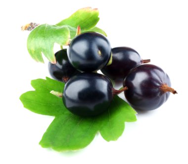 Yeşil yaprak üzerinde beyaz izole vahşi Siyah frenk üzümü