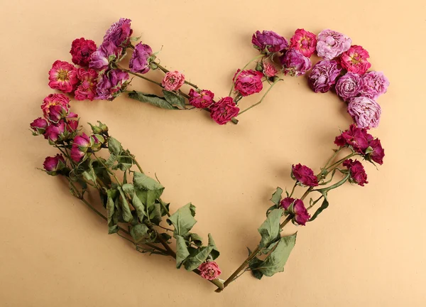 Dried flowers in shape of heart — Stock Photo, Image