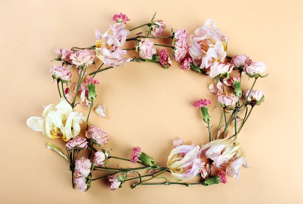Rahmen aus getrockneten Blumen — Stockfoto