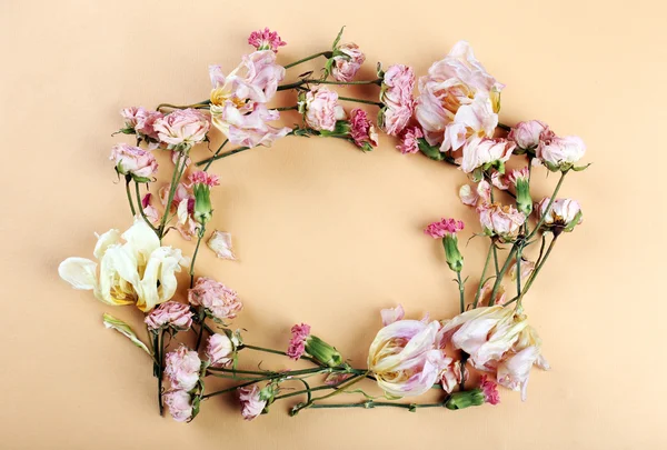 Frame of dried flowers — Stock Photo, Image