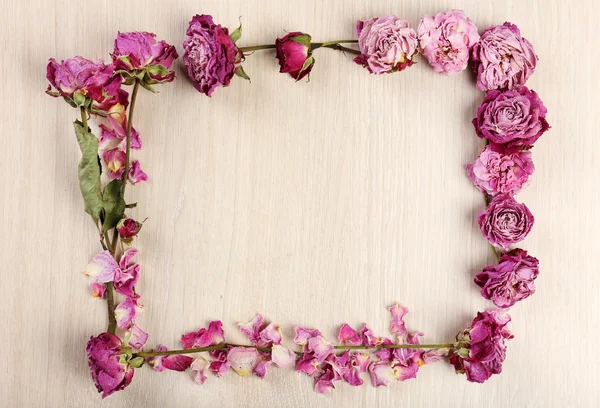 Frame of dried flowers — Stock Photo, Image