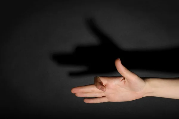 Жіноча рука формує собаку тінь обличчя — стокове фото